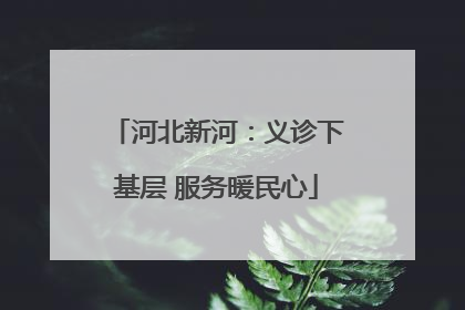河北新河：义诊下基层 服务暖民心