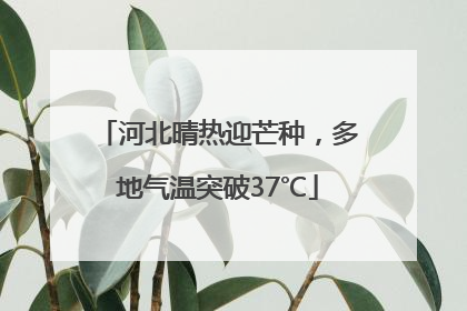 河北晴热迎芒种，多地气温突破37℃