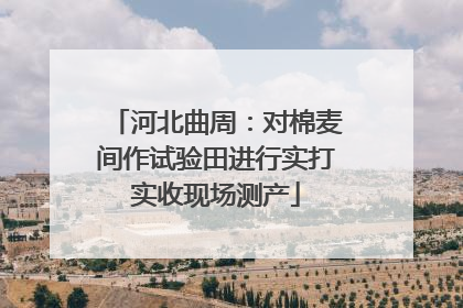 河北曲周：对棉麦间作试验田进行实打实收现场测产