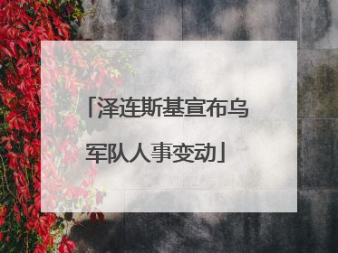 泽连斯基宣布乌军队人事变动