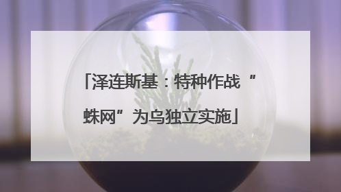 泽连斯基：特种作战“蛛网”为乌独立实施