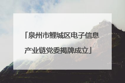 泉州市鲤城区电子信息产业链党委揭牌成立