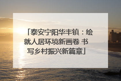 泰安宁阳华丰镇：绘就人居环境新画卷 书写乡村振兴新篇章