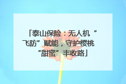 泰山保险：无人机“飞防”赋能，守护樱桃“甜蜜”丰收路
