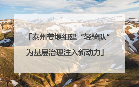 泰州姜堰组建“轻骑队”为基层治理注入新动力