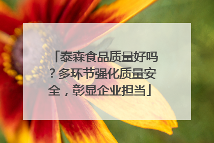 泰森食品质量好吗？多环节强化质量安全，彰显企业担当
