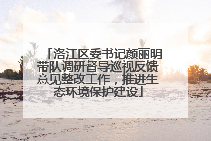 洛江区委书记颜丽明带队调研督导巡视反馈意见整改工作，推进生态环境保护建设