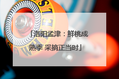 洛阳孟津：鲜桃成熟季 采摘正当时