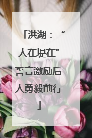 洪湖：“人在堤在”誓言激励后人勇毅前行