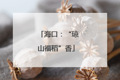 海口：“琼山福稻”香