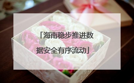 海南稳步推进数据安全有序流动