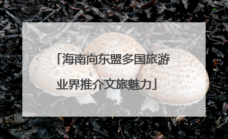 海南向东盟多国旅游业界推介文旅魅力