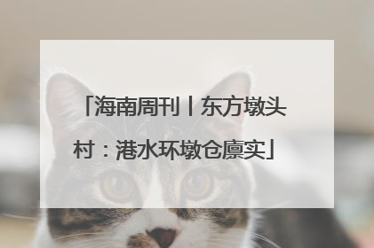 海南周刊丨东方墩头村：港水环墩仓廪实