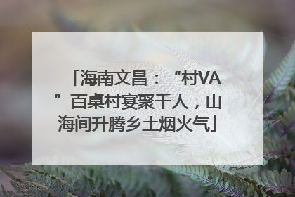 海南文昌：“村VA”百桌村宴聚千人，山海间升腾乡土烟火气