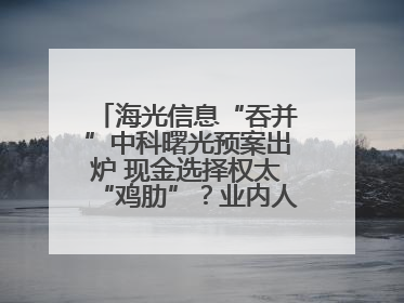 海光信息“吞并”中科曙光预案出炉 现金选择权太“鸡肋”？业内人士：企业不想大量现金流出