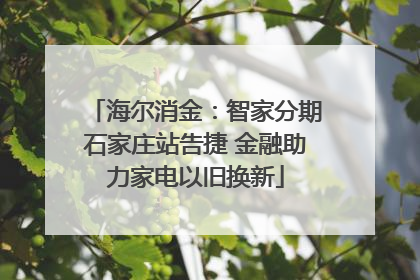 海尔消金：智家分期石家庄站告捷 金融助力家电以旧换新