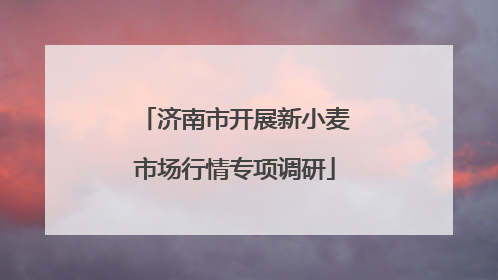 济南市开展新小麦市场行情专项调研