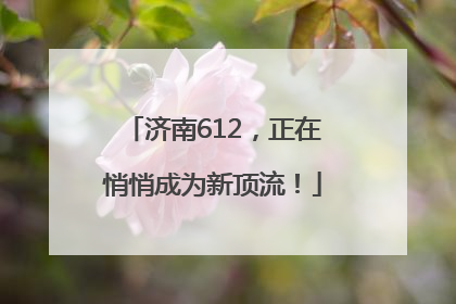 济南612，正在悄悄成为新顶流！