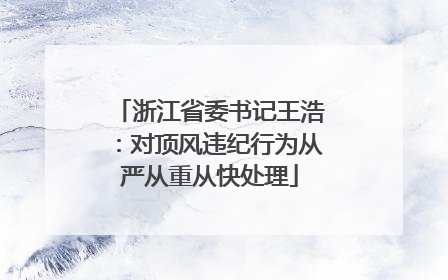 浙江省委书记王浩：对顶风违纪行为从严从重从快处理