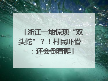 浙江一地惊现“双头蛇”？！村民吓懵：还会倒着爬