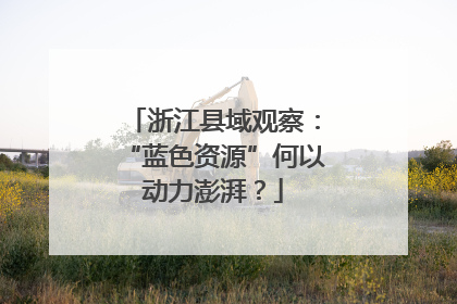 浙江县域观察：“蓝色资源”何以动力澎湃？
