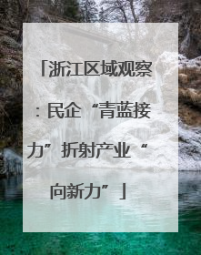 浙江区域观察：民企“青蓝接力”折射产业“向新力”