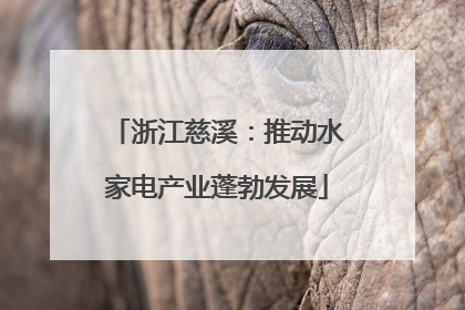 浙江慈溪：推动水家电产业蓬勃发展