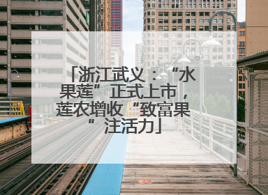 浙江武义：“水果莲”正式上市，莲农增收“致富果”注活力