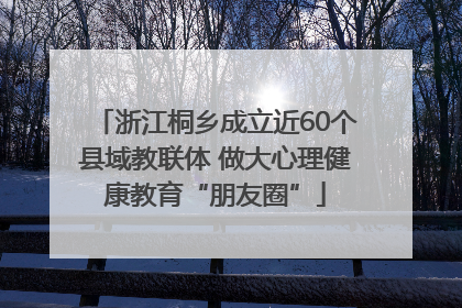 浙江桐乡成立近60个县域教联体 做大心理健康教育“朋友圈”