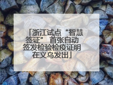 浙江试点“智慧签证” 首张自动签发检验检疫证明在义乌发出