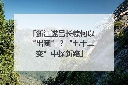 浙江遂昌长粽何以“出圈”？“七十二变”中探新路