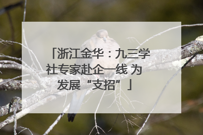 浙江金华：九三学社专家赴企一线 为发展“支招”