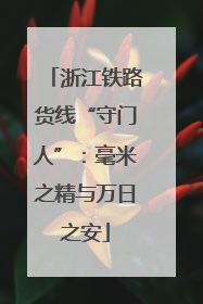 浙江铁路货线“守门人”：毫米之精与万日之安