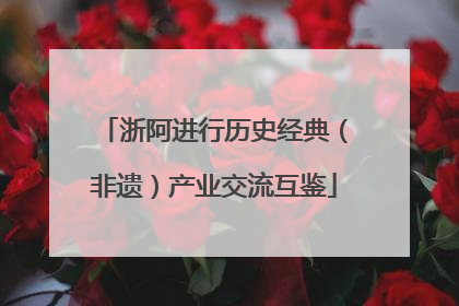 浙阿进行历史经典（非遗）产业交流互鉴