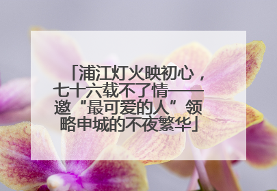 浦江灯火映初心，七十六载不了情——邀“最可爱的人”领略申城的不夜繁华