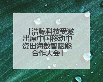 浩鲸科技受邀出席中国移动中资出海数智赋能合作大会