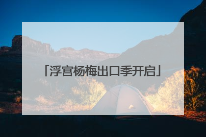 浮宫杨梅出口季开启