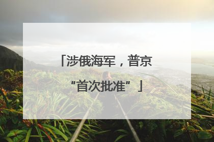涉俄海军，普京“首次批准”