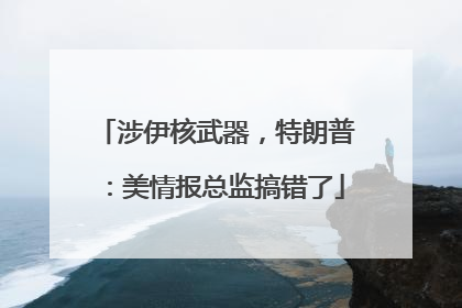 涉伊核武器，特朗普：美情报总监搞错了