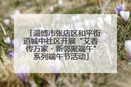 淄博市张店区和平街道城中社区开展“艾香传万家・新邻聚端午”系列端午节活动