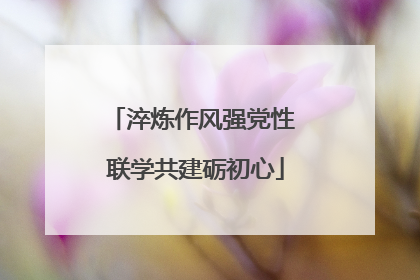 淬炼作风强党性 联学共建砺初心