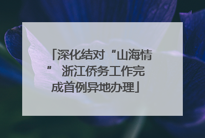 深化结对“山海情” 浙江侨务工作完成首例异地办理