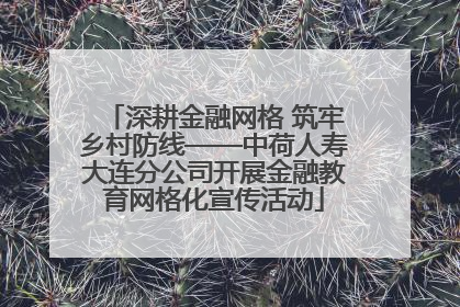 深耕金融网格 筑牢乡村防线——中荷人寿大连分公司开展金融教育网格化宣传活动