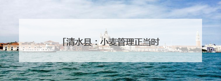 清水县：小麦管理正当时 守护粮“芯”绘丰景