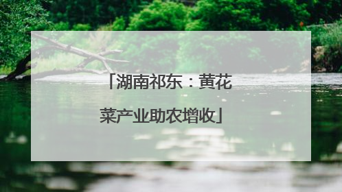 湖南祁东：黄花菜产业助农增收