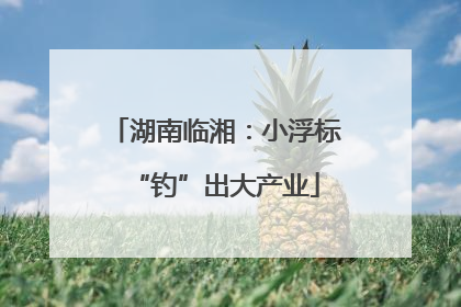 湖南临湘：小浮标“钓”出大产业