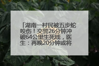 湖南一村民被五步蛇咬伤！交警26分钟冲破64公里生死线，医生：再晚20分钟或将呼吸肌麻痹