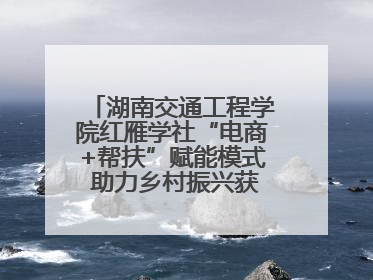湖南交通工程学院红雁学社“电商+帮扶”赋能模式 助力乡村振兴获帮扶乡镇好评