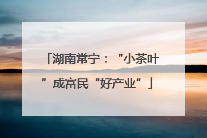 湖南常宁：“小茶叶”成富民“好产业”