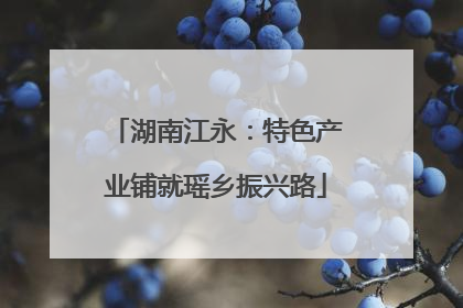 湖南江永：特色产业铺就瑶乡振兴路
